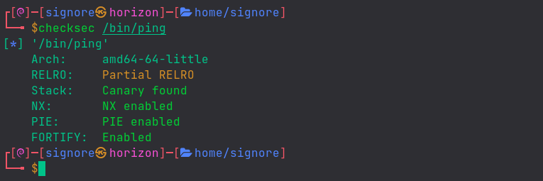 checksec-ping